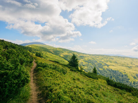 trail path to petros mountain top. beautiful summer landscape with rolling hills and alpine meadows of transcarpathia. popular travel destination of ukraine