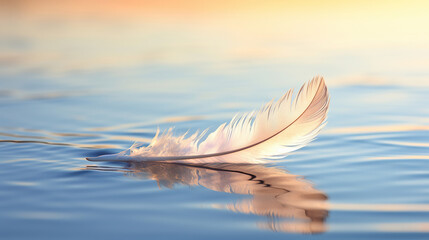 Swan feathers elegantly glide in a reflective scene, crafting a serene and poetic tableau.
