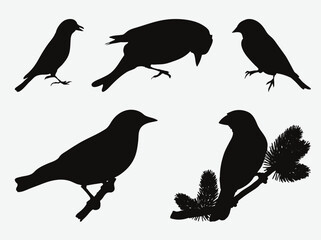 Captivating Collection of Majestic Goldfinch Silhouettes, A Set of Elegantly Crafted Avian Artistry