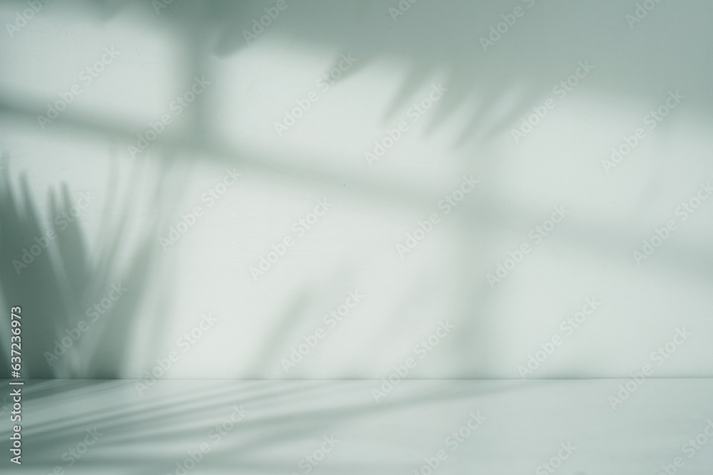 Wall mural empty room with blank white wall. window and nature leaf shadow and floor