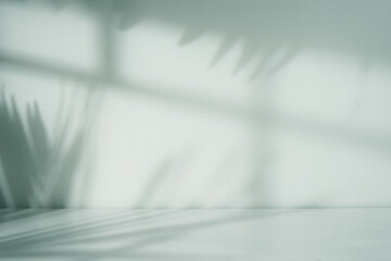 Empty room with blank white wall. Window and nature leaf shadow and floor