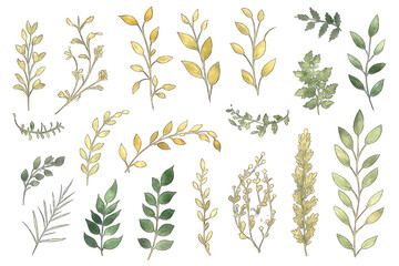 Watercolor green and dark yellow leaves. Transparent PNG background. Greeting or wedding card decoration