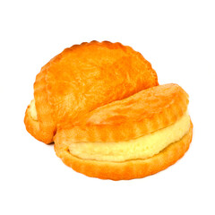 Cottage cheese succulent on a white background