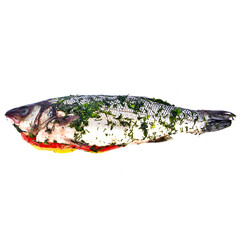 Seabass for baking on a white background