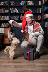 Young man in christmas outfit trains shih tzu for treat. Male in warm sweater gives food to little...