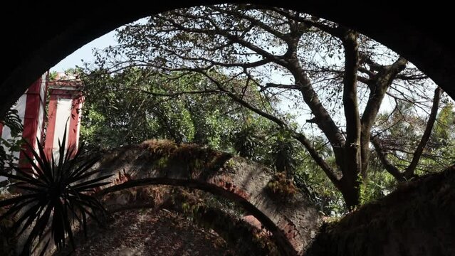 Slow tilting shot of a beautiful garden from an archway in Mexico