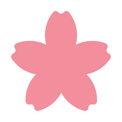 pink sakura flower