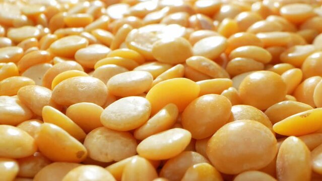 Split Pigeon Peas are yellow lentils rich in protein and nutrients. Their distinctive flavor and quick-cooking nature make them a staple in Indian cuisine, perfect for curries, soups, and stews.
