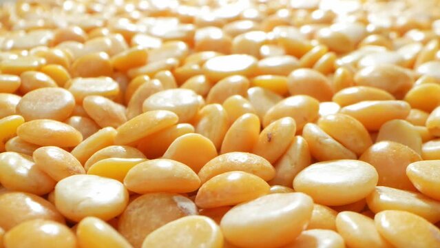 Explore the world of Split Pigeon Peas (Toor Dal) in stunning macro detail. Witness its intricate textures and vibrant hues up close, revealing the essence of this versatile legume.
