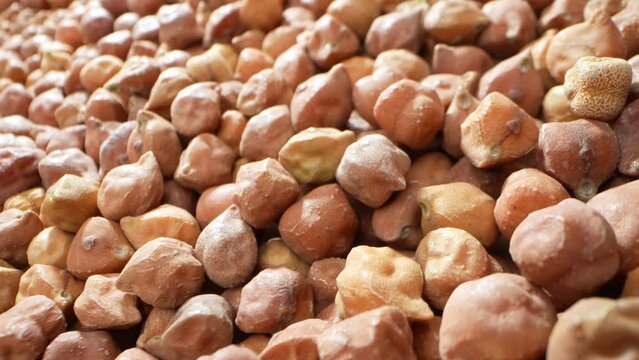 Explore the nutty essence of Black Chickpeas (Kala Chana) with a prob lens. Rich in flavor, these small, dark legumes offer a hearty texture and deep taste, perfect for curries, salads, and stews.
