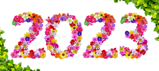 The shape of the number 2023 is made of various kinds of flowers petals isolated on transparent background. Year 2023, new year, suitable for design materials