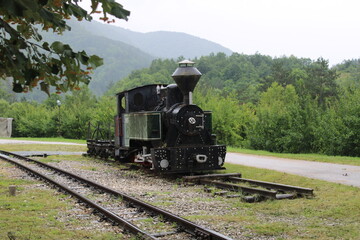 Obraz premium steam train in the countryside
