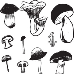 set of black and white mushrooms