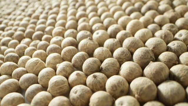 White peppercorns are matured, dried berries of the pepper plant, with the outer black husk removed. They offer a milder taste than black peppercorns, with earthy and subtly spicy notes. 
