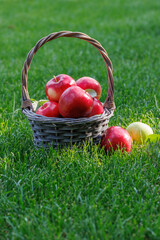 Basket with fresh red apples