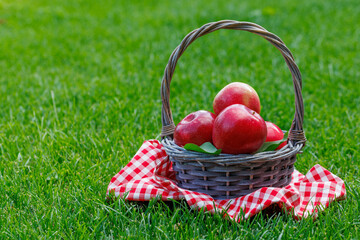 Basket with fresh red apples