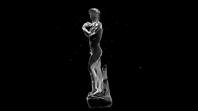 Raphael Michelangelo Holographic VJ Loop 3D character on black motion background
