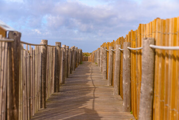 Guincho beach, Portugal, summer, dunes