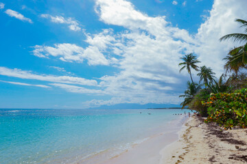Paradise Guadeloupe beach with the white Sand, Green Palm Trees and Blue Ocean Water, Caribbean islands