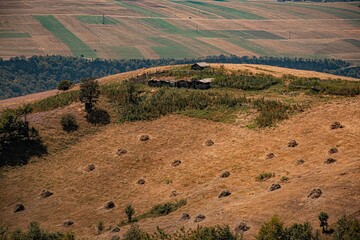 Fototapeta premium rice field in the morning