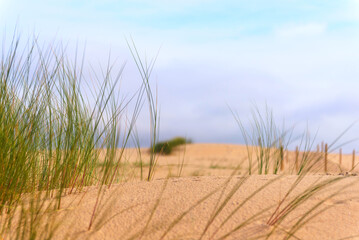 Guincho beach, Portugal, summer, dunes