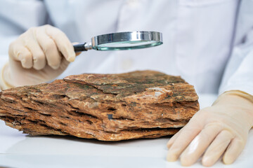 Rock sample in geology science laboratory research, mineral soil test in chemistry lab industry analysis work, geological stone material from nature with scientific equipment for industrial business