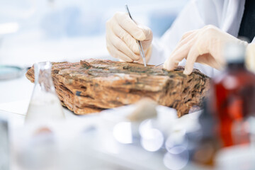 Rock sample in geology science laboratory research, mineral soil test in chemistry lab industry analysis work, geological stone material from nature with scientific equipment for industrial business