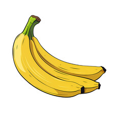 Yellow Banana Illustration  Clipart 