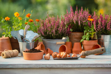 Heather and flower bulbs on a garden table