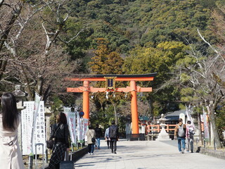 京都　松尾大社