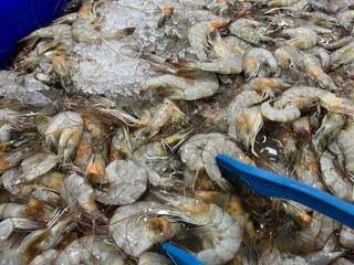 Fresh and raw shrimp for cooking ingredient stored with crushed ice in a supermarket for sale