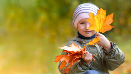 portrait little girl collecting colorful autumn leaves in park. child and maple leaf fall. kid with foliage in forest. banner, copy space, text