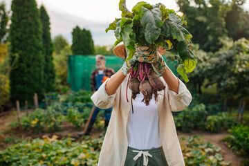 Woman standing in the garden and showing beet to the camera