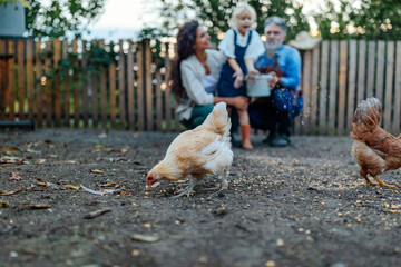 Toddler feeding chicken in the garden