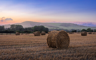 Firle harvest at the foot of the south downs nestled in the east Sussex countryside south east...