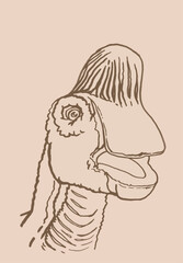 Fototapeta na wymiar graphical sketchy vintage portrait of Pachycephalosaurus ,vector illustration,dinosaur
