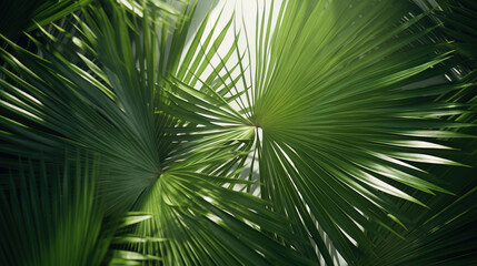 Close up of a palm tree leaf.Generative Ai