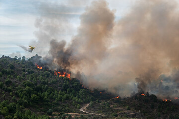 Avião no combate ao incêndio florestal descarregando água sobre as labaredas que deixam muito fumo no ar