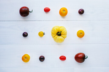 Colorful homegrown freshly picked tomatoes on wooden rustic background, top view, flat lay style. Summer organic vegetables harvest.