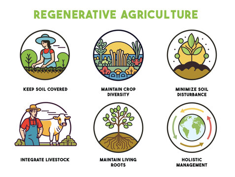 Regenerative agriculture method for soil health and vitality Icons set. Farming principles to rehabilitate or improve topsoil layer and crop biodiversity. Vector.