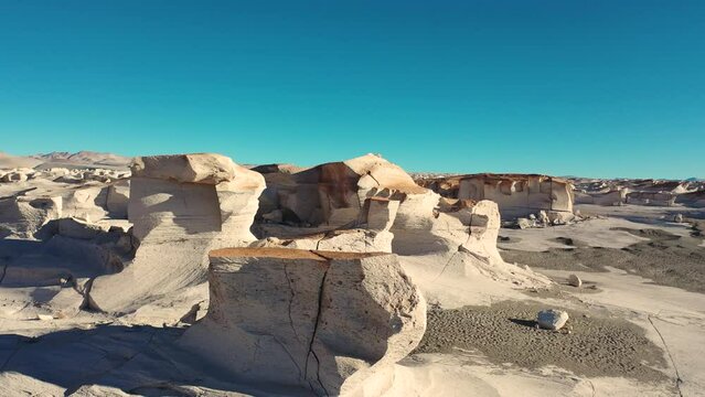 Tulipanes y paisajes en Catamarca, Argentina 