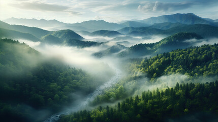 Obraz premium The Foggy Forest in the Mountains. Generative Ai