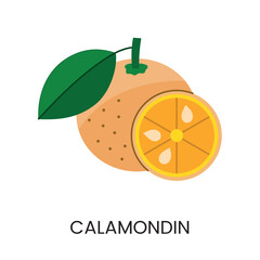 Vector illustration of calamondin, conveying juiciness and vibrant color. Ideal for fresh and lively designs.