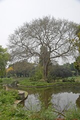 Beautiful lake in Sundar nursery , Delhi