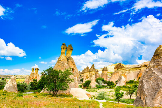 Place in Cappadocia-Fairy Chimneys (Pasabag Valley).