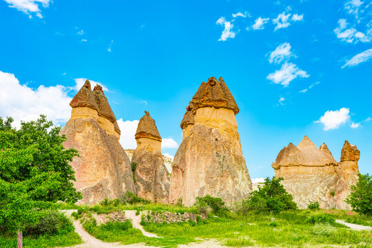 Place in Cappadocia-Fairy Chimneys (Pasabag Valley).