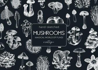 Forest mushrooms frame on chalkboard. Edible mushrooms background. Fungi, healthy food, vegan product sketches. Autumn hand-drawn vector illustration. Engraved design template, card, print, packaging