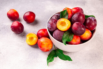 A bowl with ripe juicy plums on a gray background.