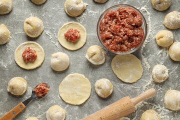 Cooking home food concept with raw dumplings