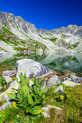 Landscape of the High Tatras, Carpathian Mountains. Velke Hincovo Pleso.